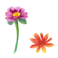 watercolor flower cute color pastel,, png