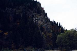 otoño bosque montañas arboles paisaje Fresco aire foto