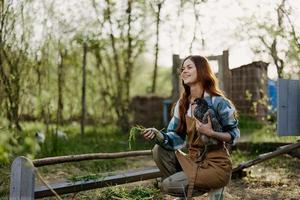 un mujer con un pollo en su mano cheques el frescura de orgánico alimentar en el pájaro alimentador a un orgánico granja foto