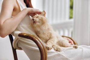 hermosa mujer sentado en el terraza con un gato relajación concepto foto