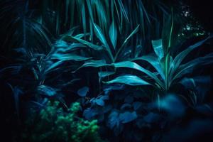 Tropical leaf forest glow in the dark background with copy space. High contrast concept photo