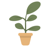 Minimalist Green Leaves House Plant png