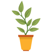 Minimalist Green Leaves House Plant png