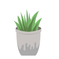 Minimalist Green Leaves House Plant png