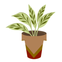 Green Fresh Leaves Potted Plant png