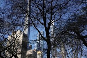 central park trees branches new york manhattan skyscrapers view from the street to the top of the building on sunny clear day photo
