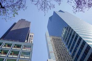 blossom of trees new york manhattan skyscrapers view from the street to the top of the building on sunny clear day photo