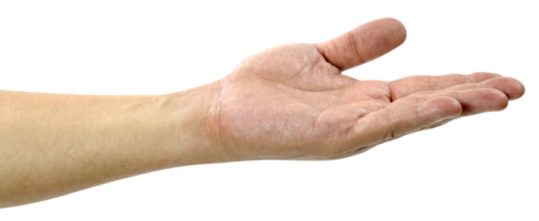 öffnen das Palme von das Hand isoliert png