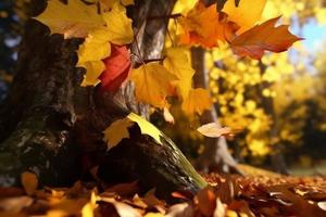 Autumn maple leaf. Generate Ai photo