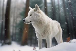 White wolf in snow forest. Generate Ai photo