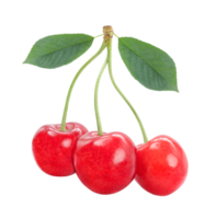 Three sweet cherries together with leaves isolated on transparent background png