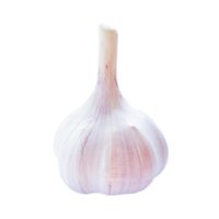 Garlic raw vegetable isolated on transparent background png