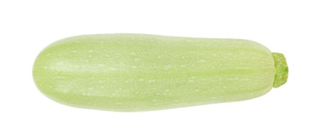 One zucchini courgette isolated on transparent background. Stock photo png