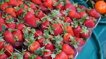 Ripe Red Strawberries in a bowl on table . video