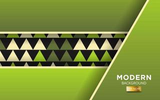 luxury premium green abstract overlay layers background. Realistic light effect on textured green and black triangle background.with white line.digital template,vector illustration. vector