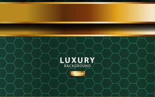 luxury premium gold and green vector background banner design with golden line.