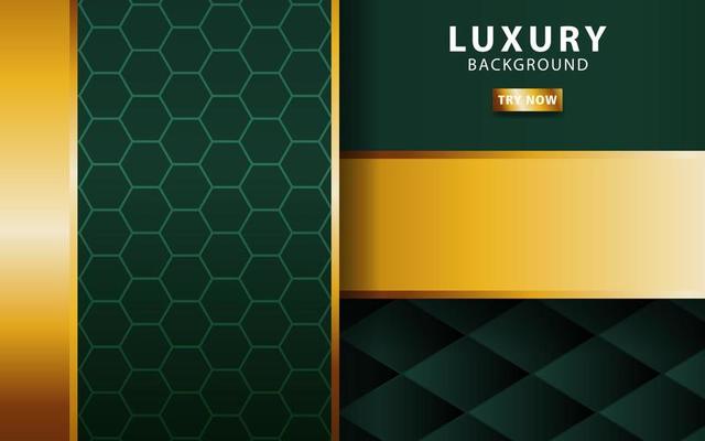 luxury premium gold and green vector background banner design with golden line.