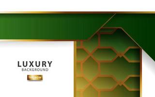 luxury abstract premium green and white vector background banner with gold line .Overlap layers with paper effect. Realistic light effect on geometric textured pattern.