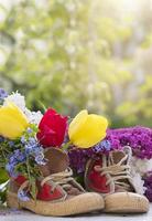 Vertical background bouquet of summer flowers in old shoes. Lilac tulips grow out of sneakers. Spring and summer floral background. photo