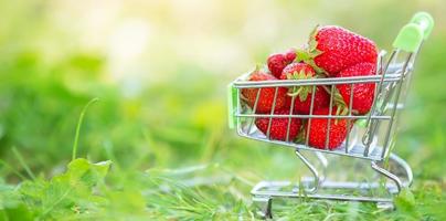 Cart with a supermarket with strawberries on the green grass. Banner beautiful summer berries. photo