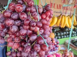 Red grapes hanging for sale photo