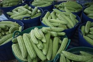 The stack of bitter melon gourd harvest is stored in a container for sale photo