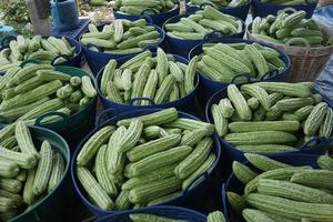 The stack of bitter melon gourd harvest is stored in a container for sale photo