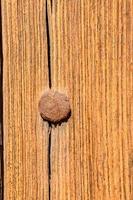 un uña martillado dentro madera foto