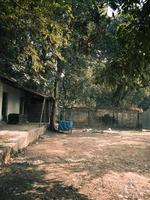 A dirt yard with trees and a building photo