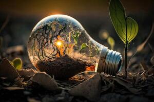 Green energy and a bright future. Light bulb in soil, concept of green energy. . photo