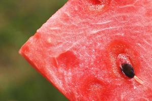 slice of watermelon on green background close-up. watermelon seed macro photo