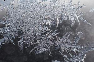 nieve modelo en el vaso desde escarcha foto