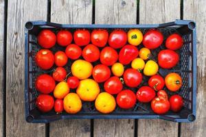 a lot of tomato in a box on a wooden background photo