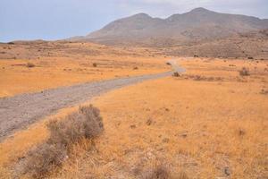 camino en el campo foto