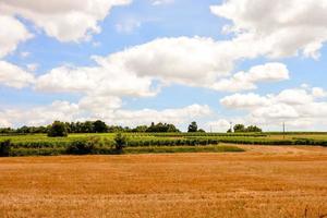 Scenic rural landscape photo