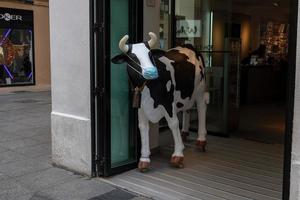 vaca en un Español calle vistiendo un máscara sufrimiento desde codicioso 19 virus foto