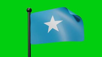 somalia waving flag 3d render video