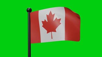 canada waving flag 3d render video