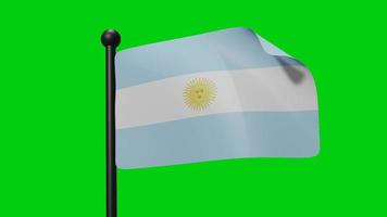 argentina waving flag 3d render video