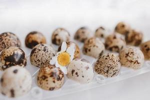 quail eggs in a package on a bright background for Easter photo