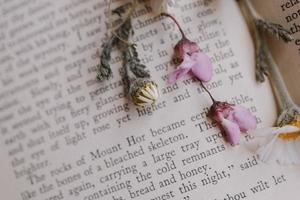 beautiful little spring flower daisy chamomile on the background of the old book photo