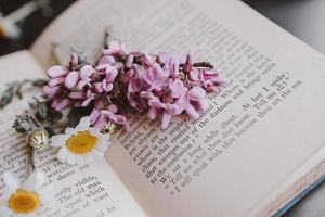 de cerca hermosa pequeño primavera flor margarita manzanilla en el antecedentes de el antiguo libro foto