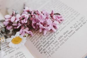 close-up beautiful little spring flower daisy chamomile on the background of the old book photo