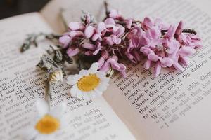 de cerca hermosa pequeño primavera flor margarita manzanilla en el antecedentes de el antiguo libro foto