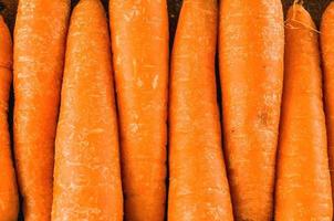 Carrots on the table photo