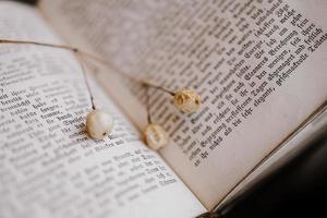 ruit of Melia on the background of the old book. Closeup. Background. vintage photo