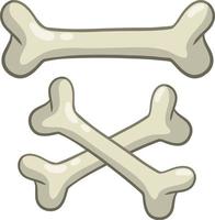 Human bone. Set of vector skeleton Elements.