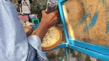 selectivo enfocar. un hombre hace de luna pasteles hecho desde trigo harina, rociado con en polvo azúcar o cacao gránulos dulce o sabroso gusto. Yogyakarta antiguo comida video