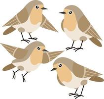 Set of Nightingale. Four Bird. Wild animal. Winged songbird. Cartoon flat illustration vector