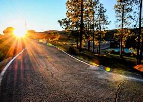 Road in the countryside photo